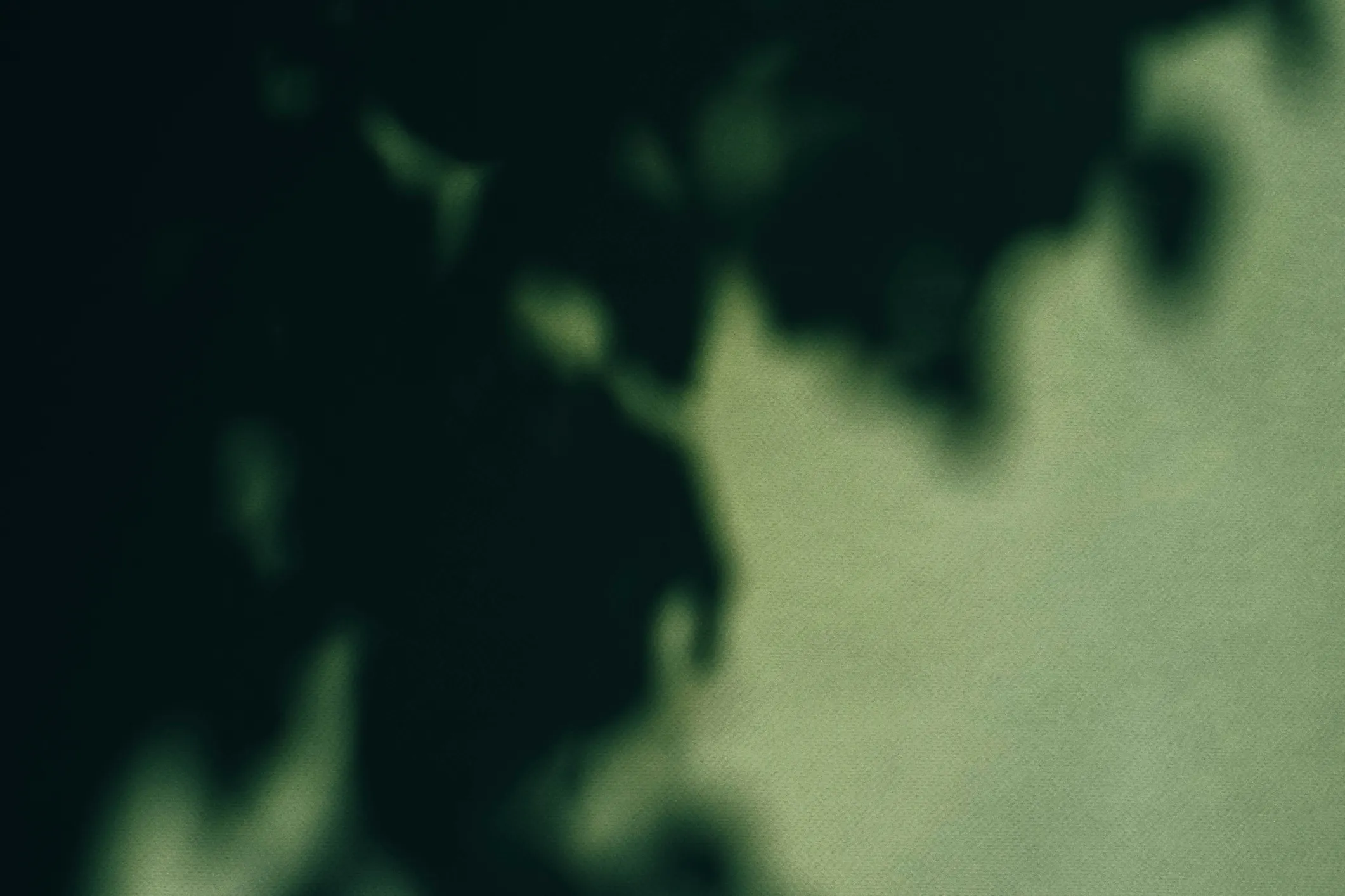 jungle